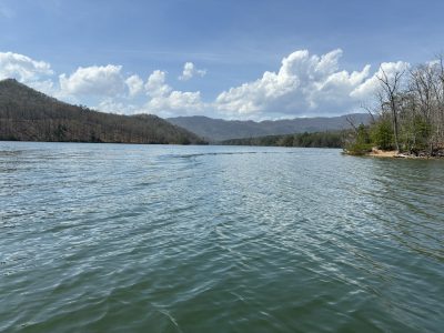 This is an image of Carvin's cove and the surrounding forest.