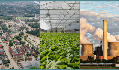 Health and Environmental Policy: Local to National Panel Graphic
